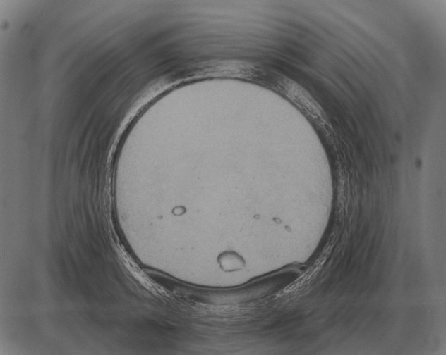 X0000084020800200703161738