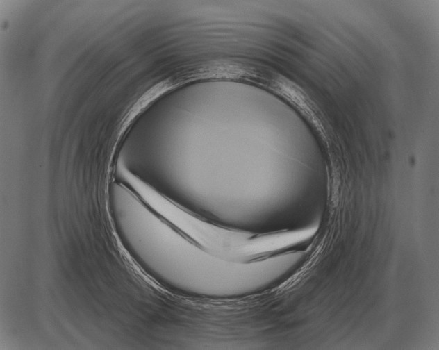 X0000084020802200703161738