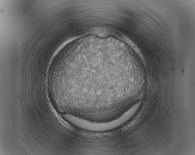 X0000084020803200703161738