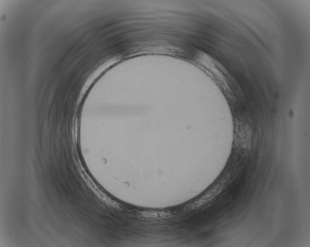 X0000084020804200703161738