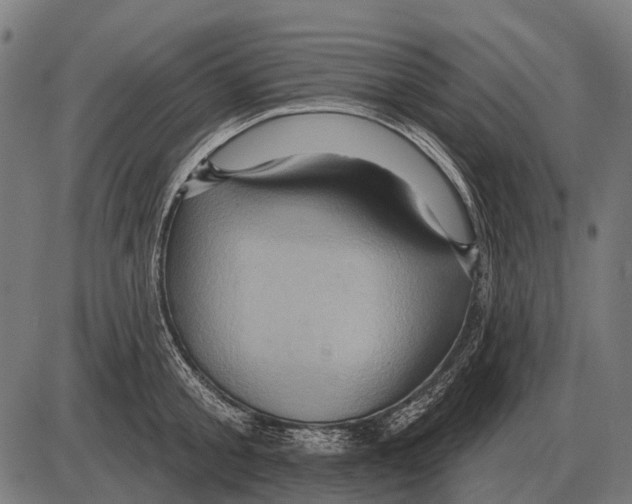 X0000084020805200703161738