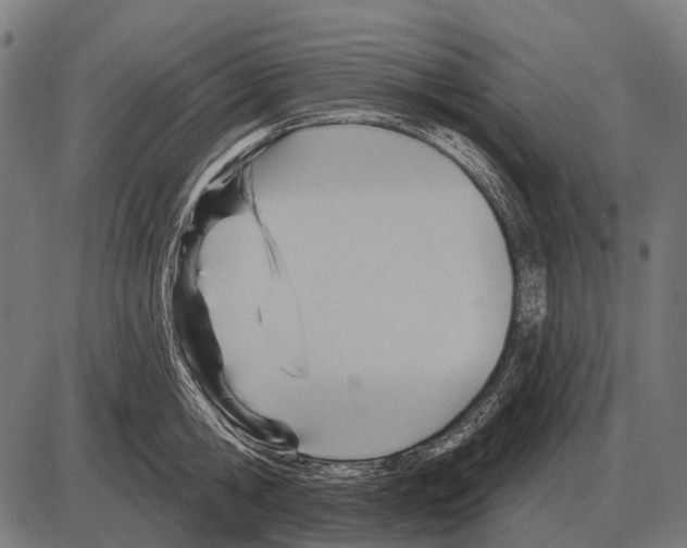 X0000084020806200703161738