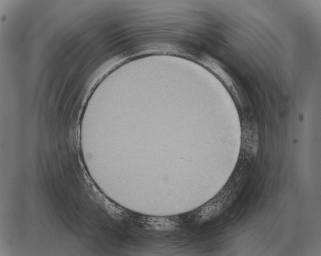 X0000084020807200703161738