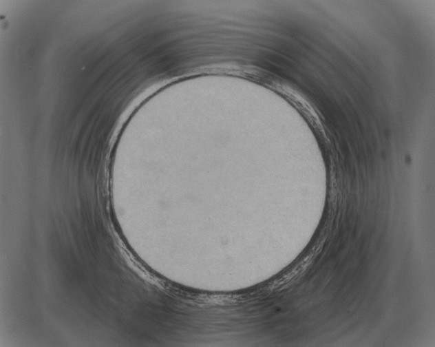 X0000084020808200703161738