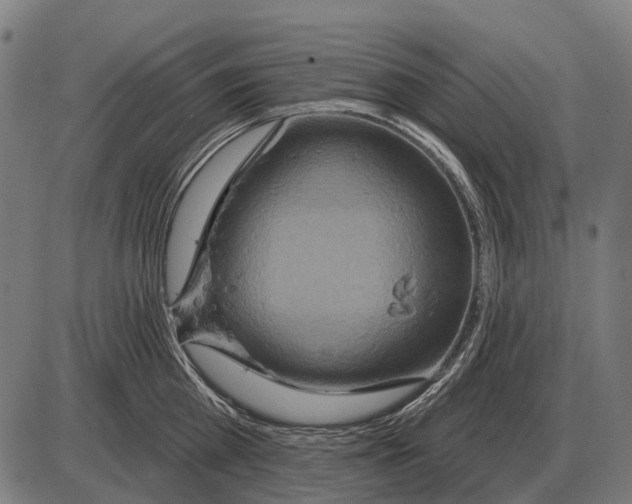 X0000084020809200703161738