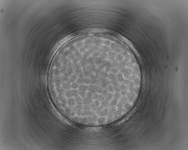 X0000084020810200703161738