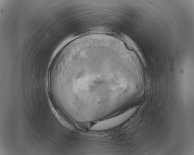 X0000084020811200703161738