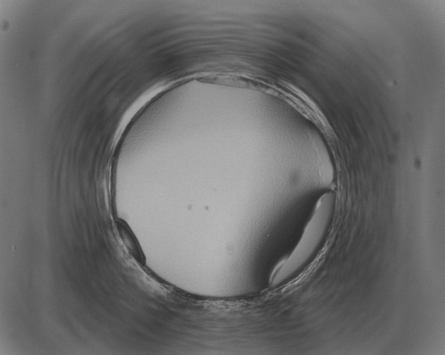 X0000084020812200703161738