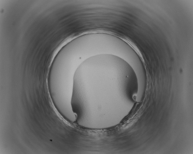 X0000084020813200703161738