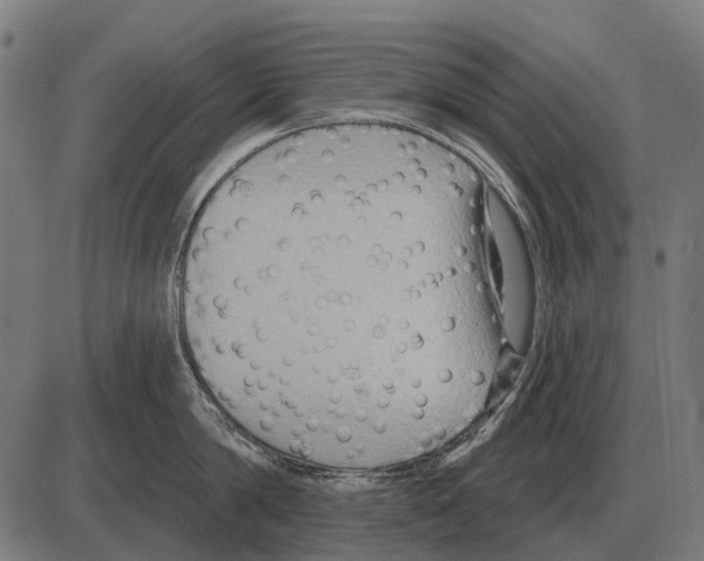 X0000084020814200703161738