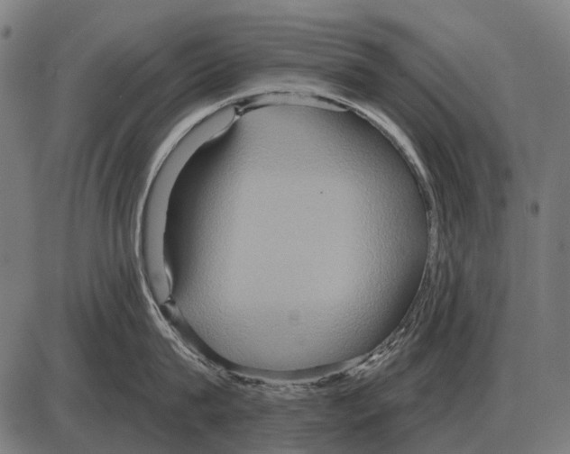 X0000084020815200703161738