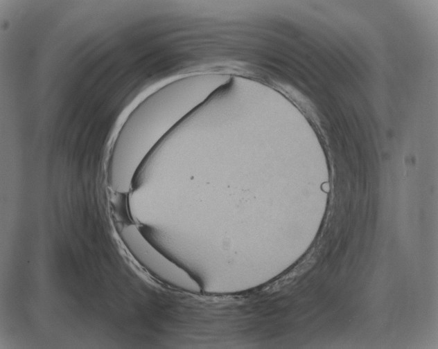 X0000084020816200703161738