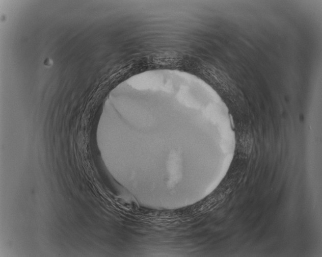 X0000084020817200703161737