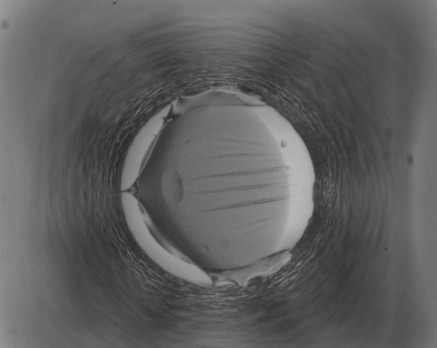 X0000084020818200703161737