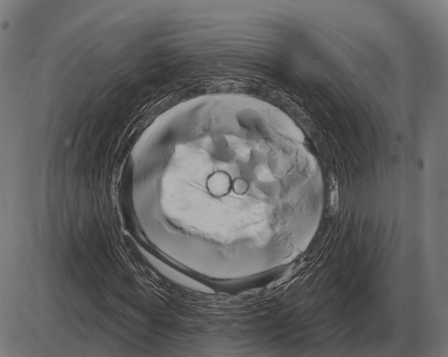 X0000084020819200703161737