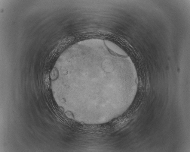 X0000084020820200703161737