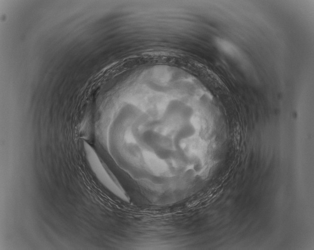 X0000084020821200703161737