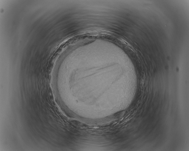 X0000084020822200703161737