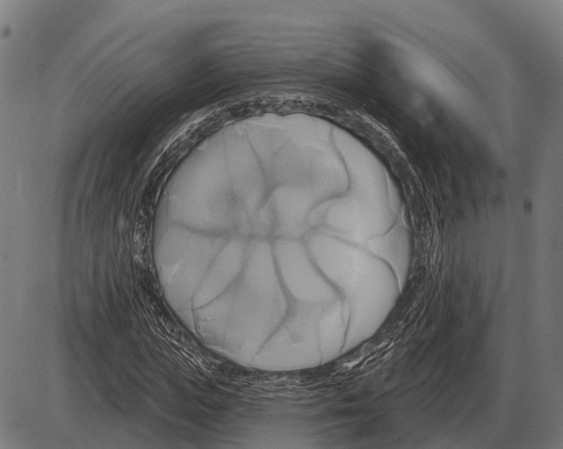 X0000084020823200703161737