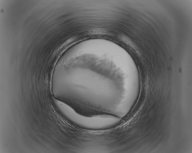 X0000084020825200703161737