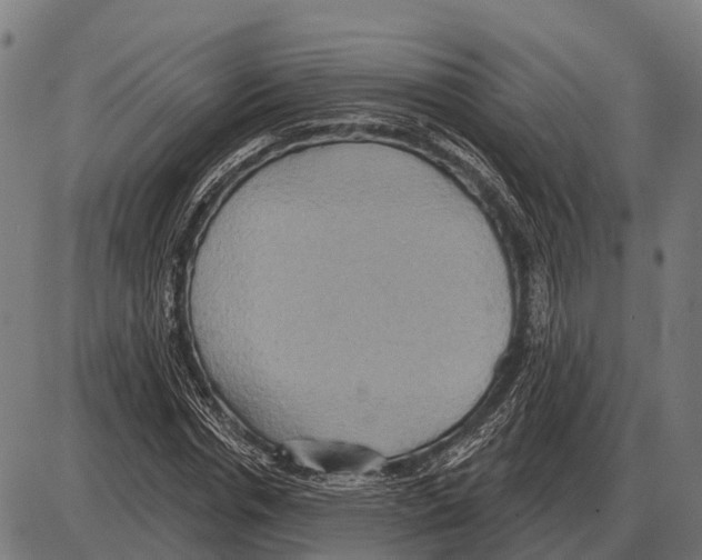 X0000084020826200703161737