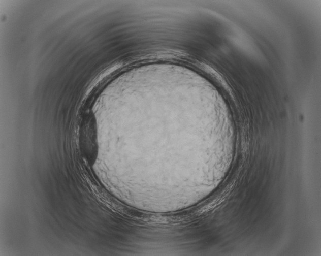 X0000084020827200703161737