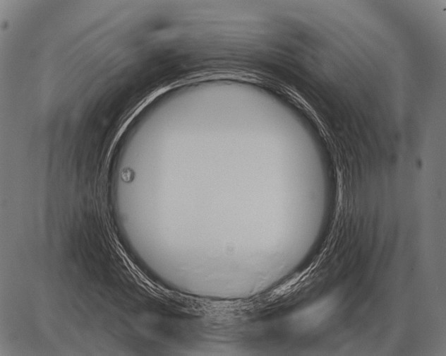 X0000084020828200703161737