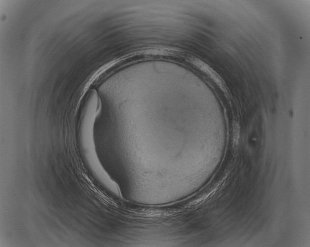 X0000084020829200703161737