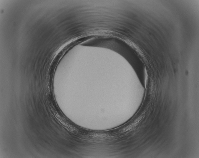 X0000084020830200703161737