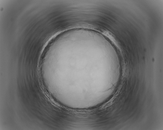 X0000084020832200703161737