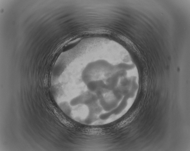 X0000084020833200703161737