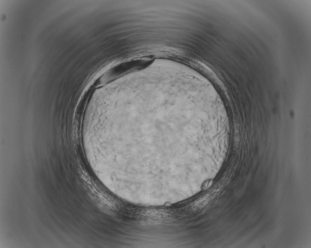 X0000084020835200703161737