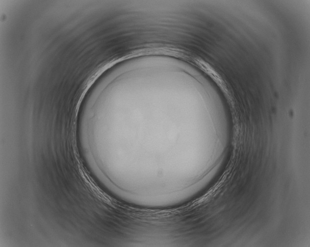 X0000084020836200703161737