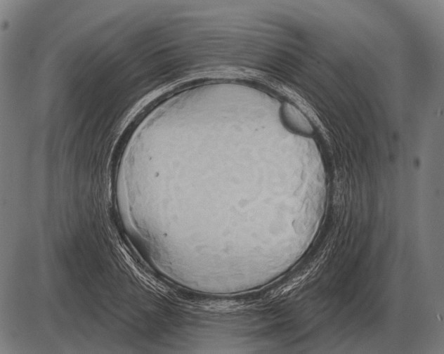 X0000084020837200703161737