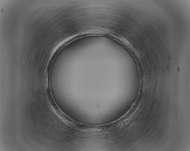 X0000084020838200703161737