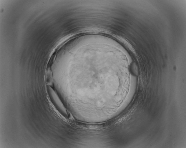 X0000084020839200703161737