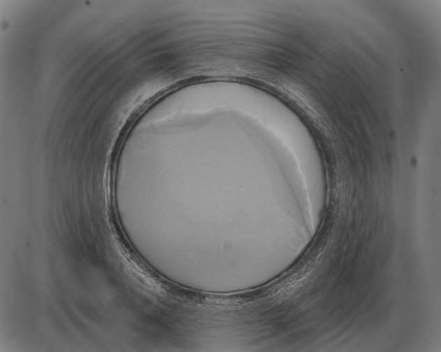 X0000084020840200703161737