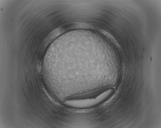 X0000084020841200703161737