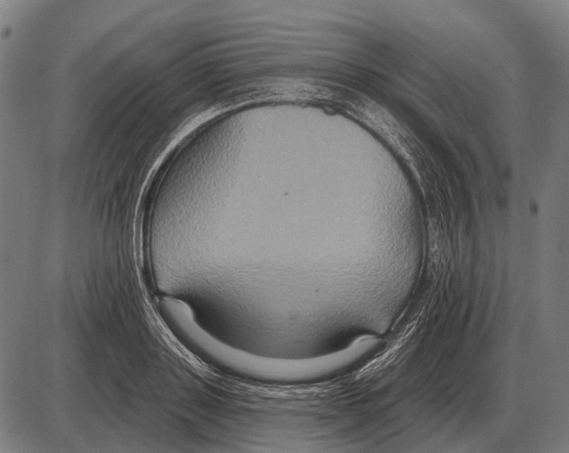 X0000084020843200703161737