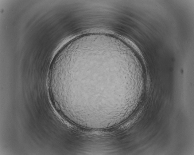 X0000084020847200703161737