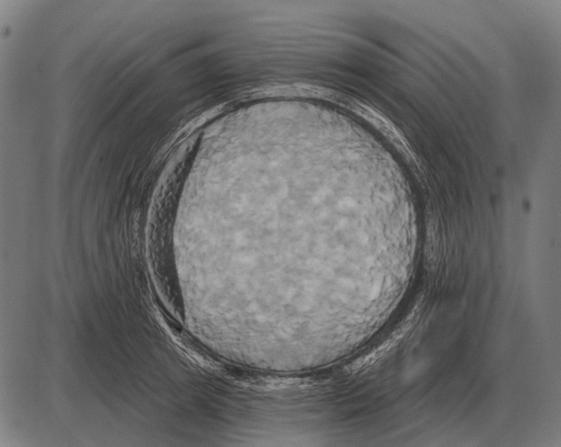 X0000084020849200703161737