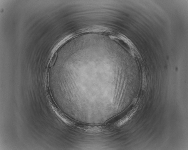 X0000084020850200703161737