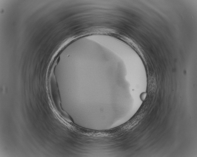 X0000084020851200703161737