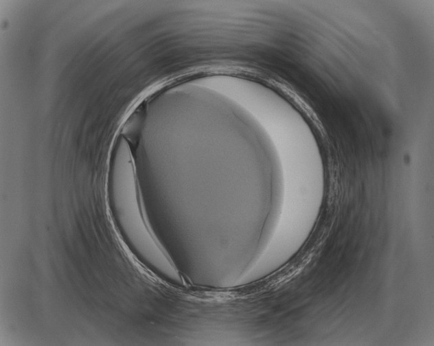 X0000084020853200703161737