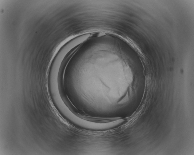 X0000084020854200703161737