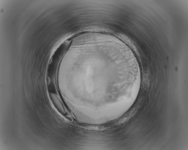 X0000084020855200703161737