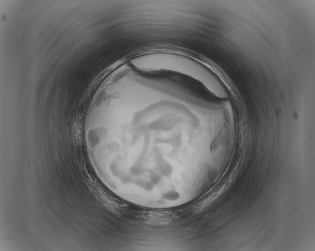 X0000084020857200703161738