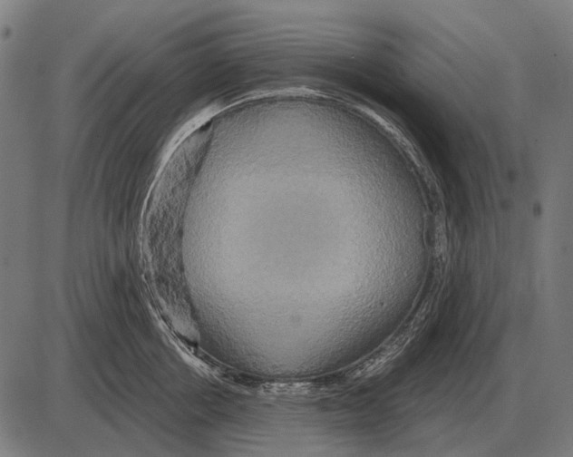 X0000084020858200703161738