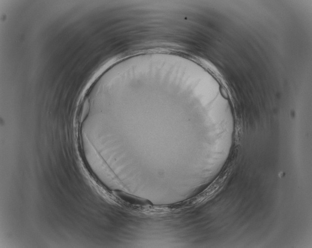 X0000084020859200703161738