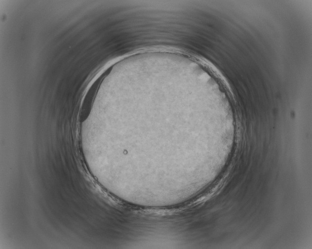 X0000084020860200703161738